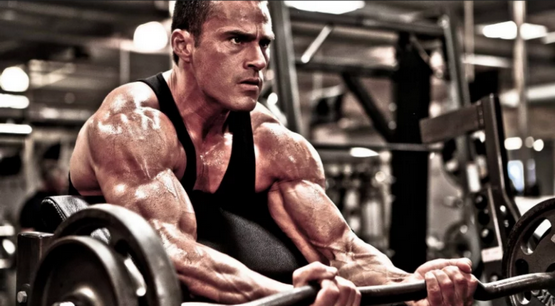 Testosterone Suspension 50 mg im Bodybuilding