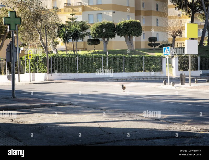 Chicken road, chicken road oficial Chicken road, chicken road oficial